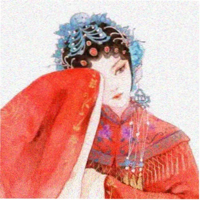 深夜探书读者夜航的猫的头像